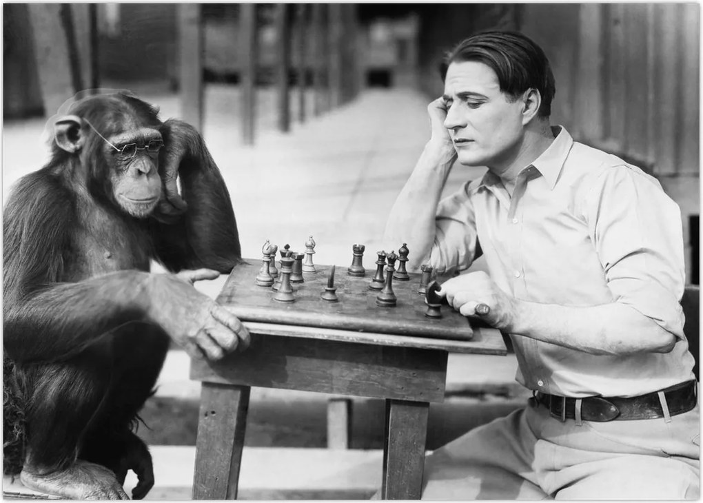 Tablou - Circ 2 (70x50 cm)