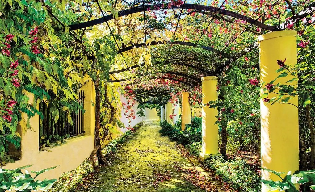 Fototapet - Stăduță cu flori (152,5x104 cm)