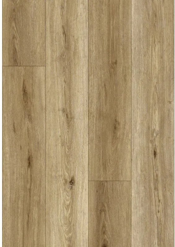 Mexen Sanford probă panouri vinilice SPC 6,5 mm, suport IXPE 1,5 mm, 4 V-Fuga, Stejar - F1059-S