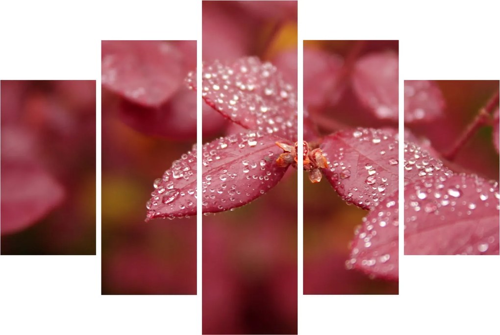 Tablou - Imagine macro a biletului (150x105 cm)