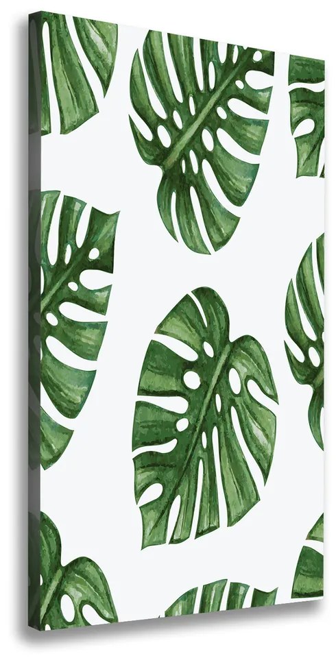Tablouri tipărite pe pânză Monstera