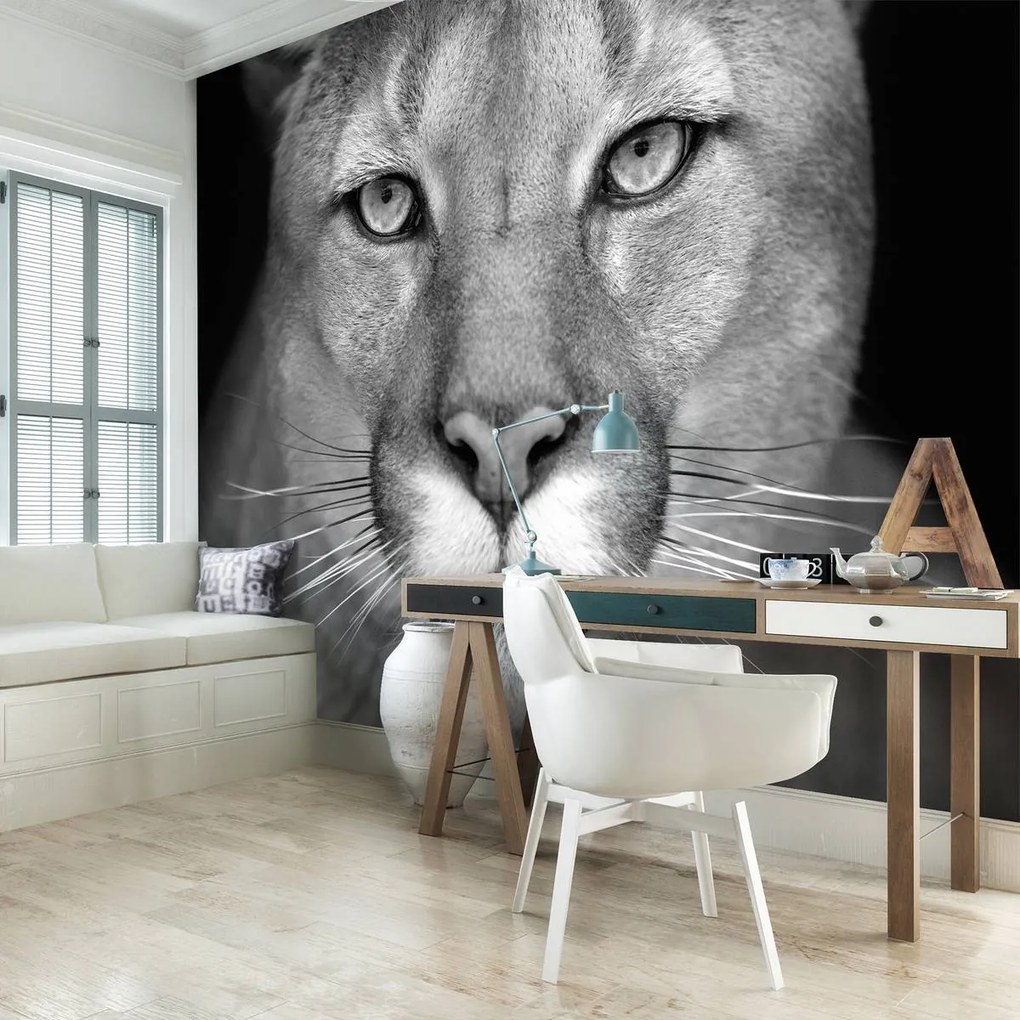 Fototapet - Leoaică (152,5x104 cm)