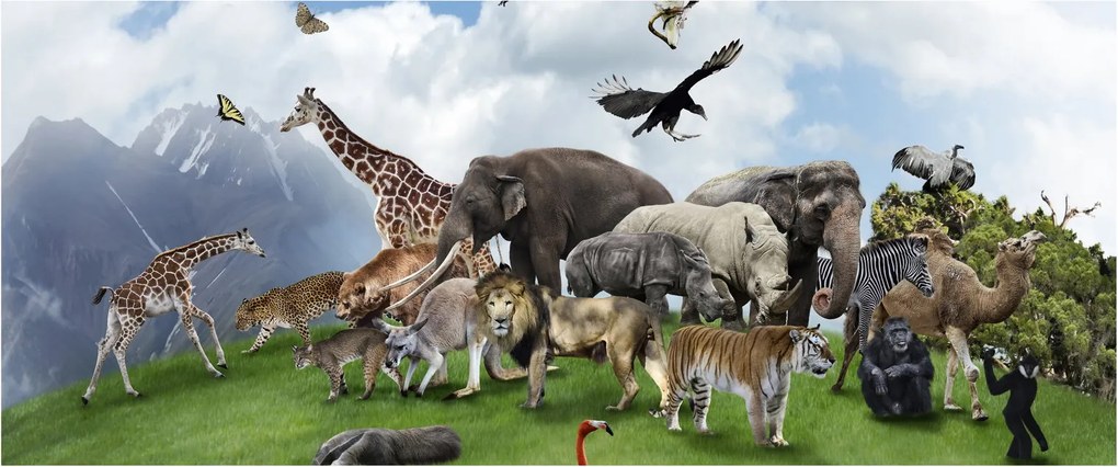 Tablou - Animale pe insulă (120x50 cm)