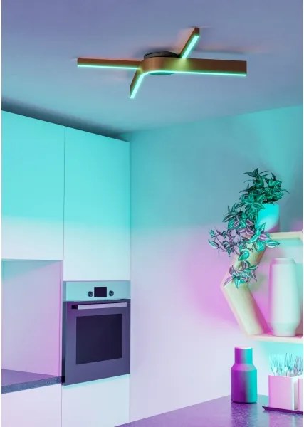 Eglo 901863 - Plafonieră LED RGBW FOLCINO-Z dimabilă, 2xLED/18W/230V, cupru/negru