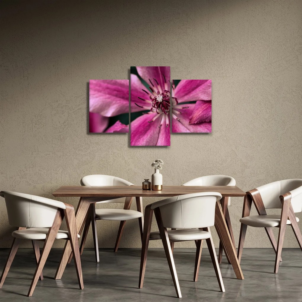 Tablou cu floarea roz de clematis (90x60 cm)