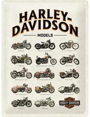 Panou decorativ din tablă Harley Models 30x40 cm