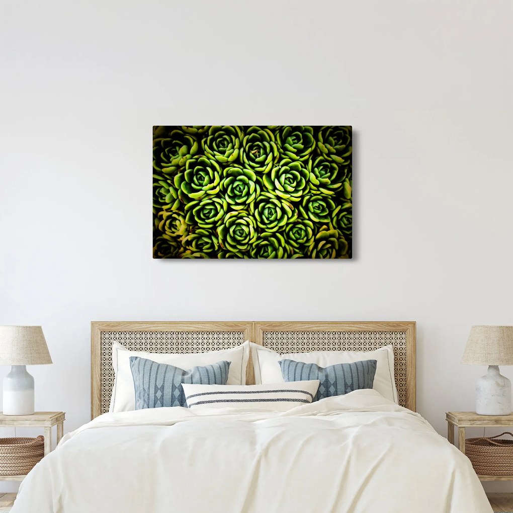 Tablou cu flori de piatră (90x60 cm)