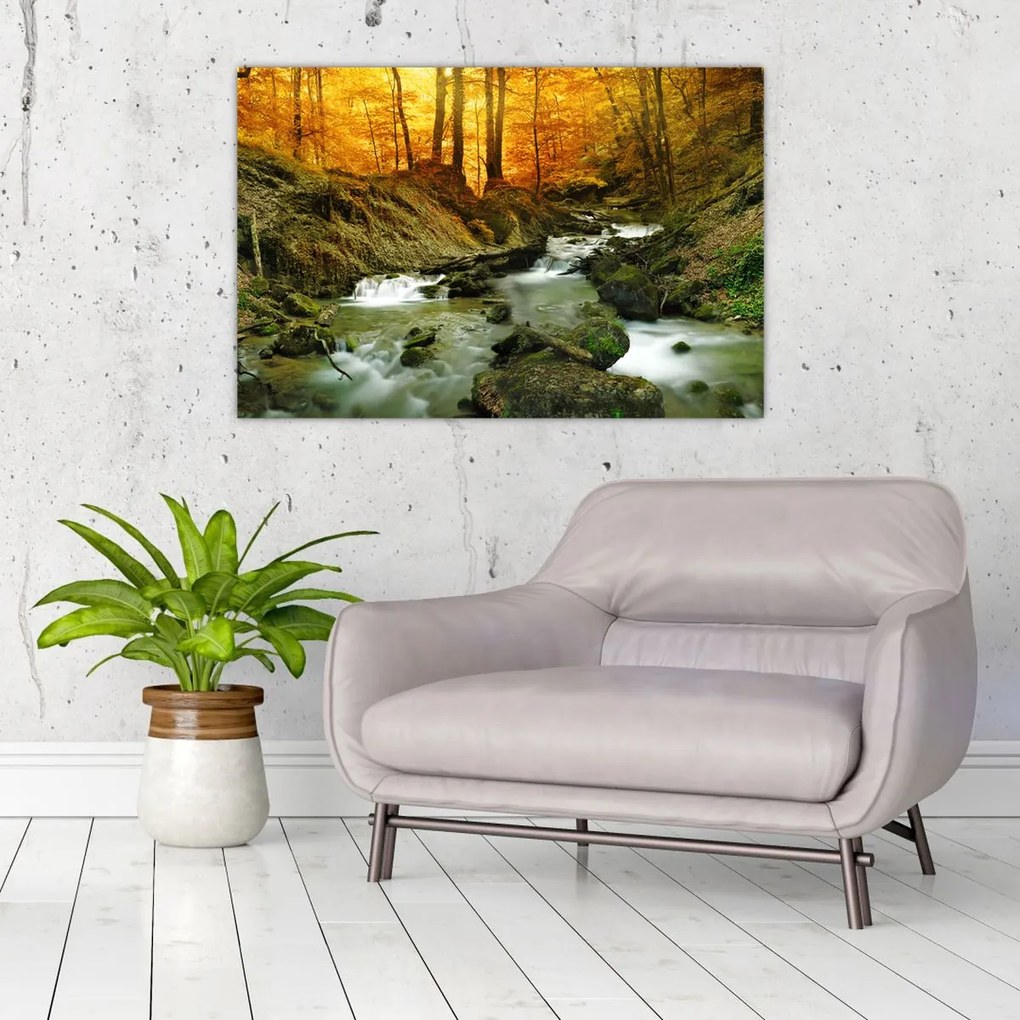 Tablou - Pădure (90x60 cm)