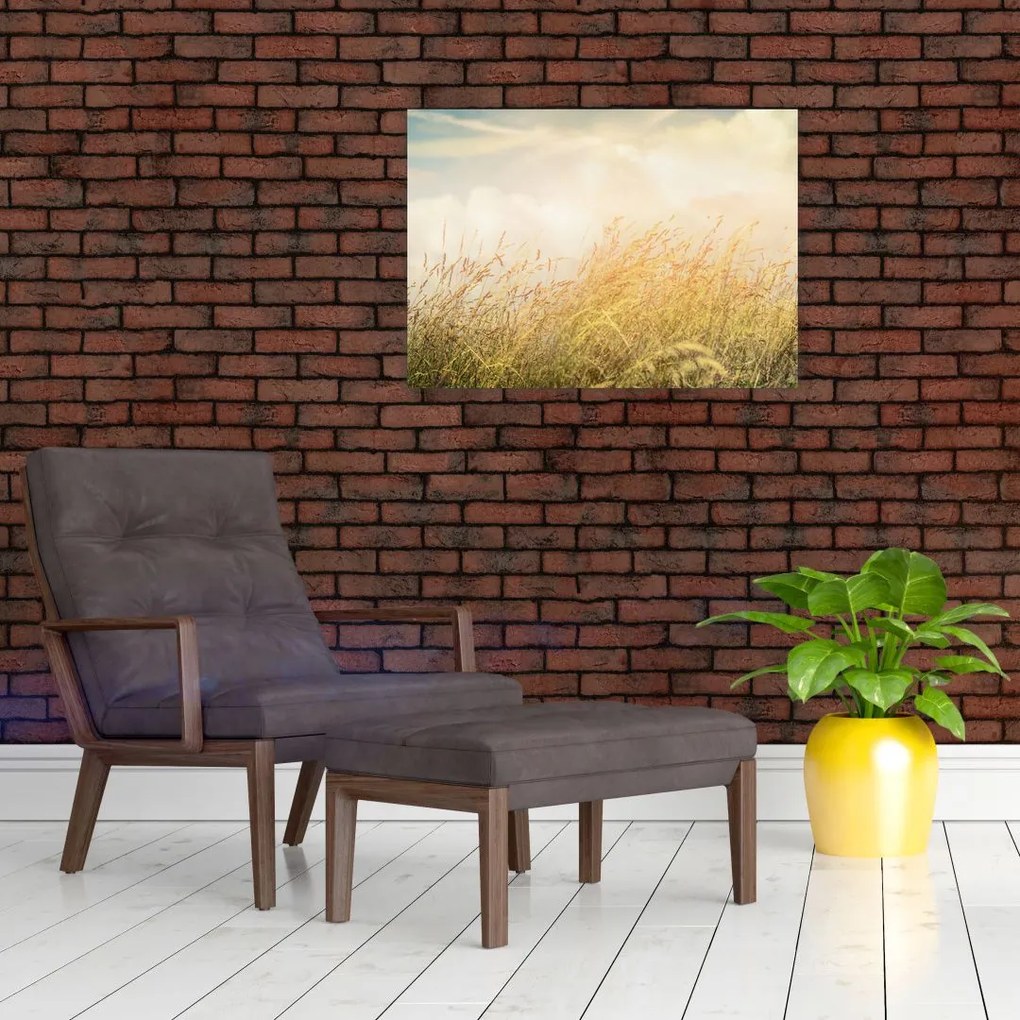 Tablou pe sticlă - Câmp toamna (70x50 cm)