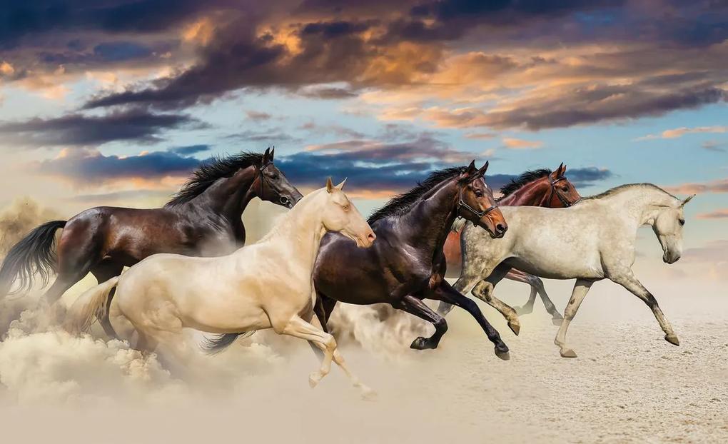 Fototapet - Galopul cailor Mustang (254x184 cm), în 8 de alte dimensiuni noi