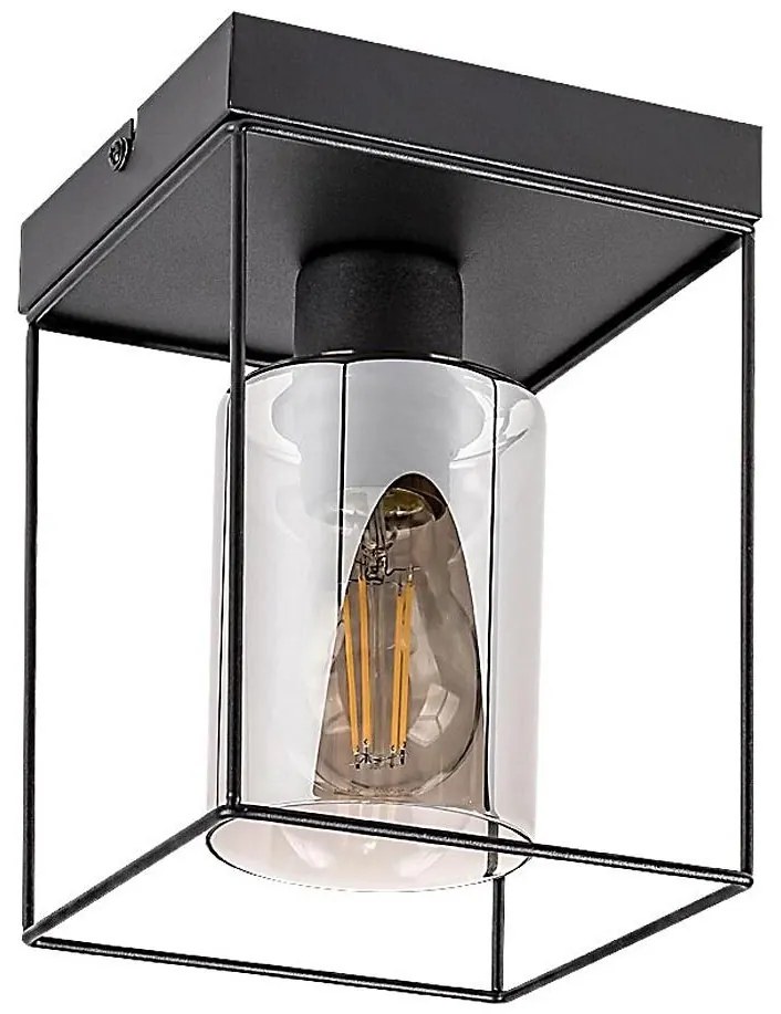 Rabalux 71031 - Plafonieră CHADWICK, 1xE27/25W/230V