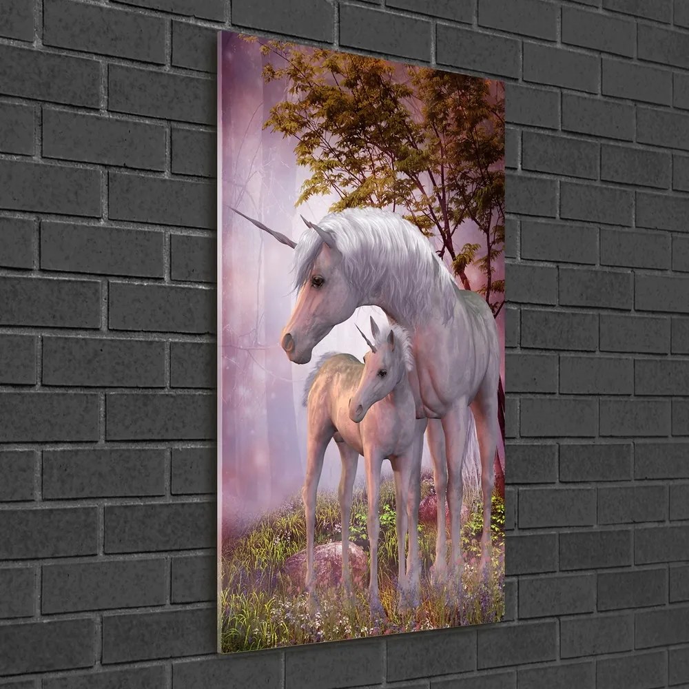 Tablou acrilic Unicorni