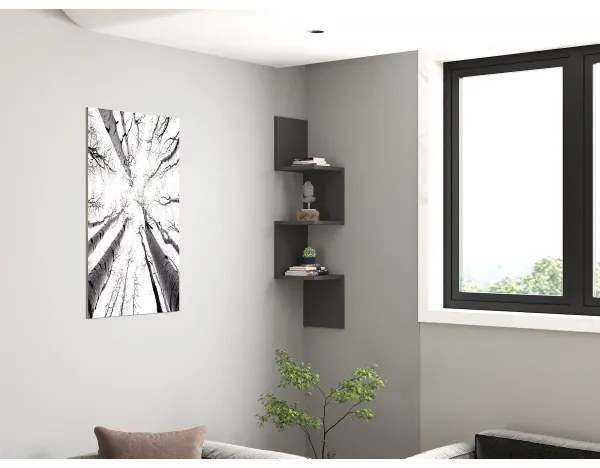 Poliță NUVIA antracit