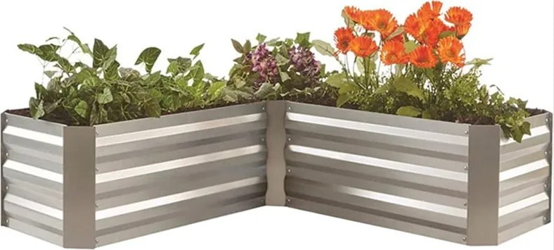 Pat ridicat de plante Magnolia – Garden Pleasure