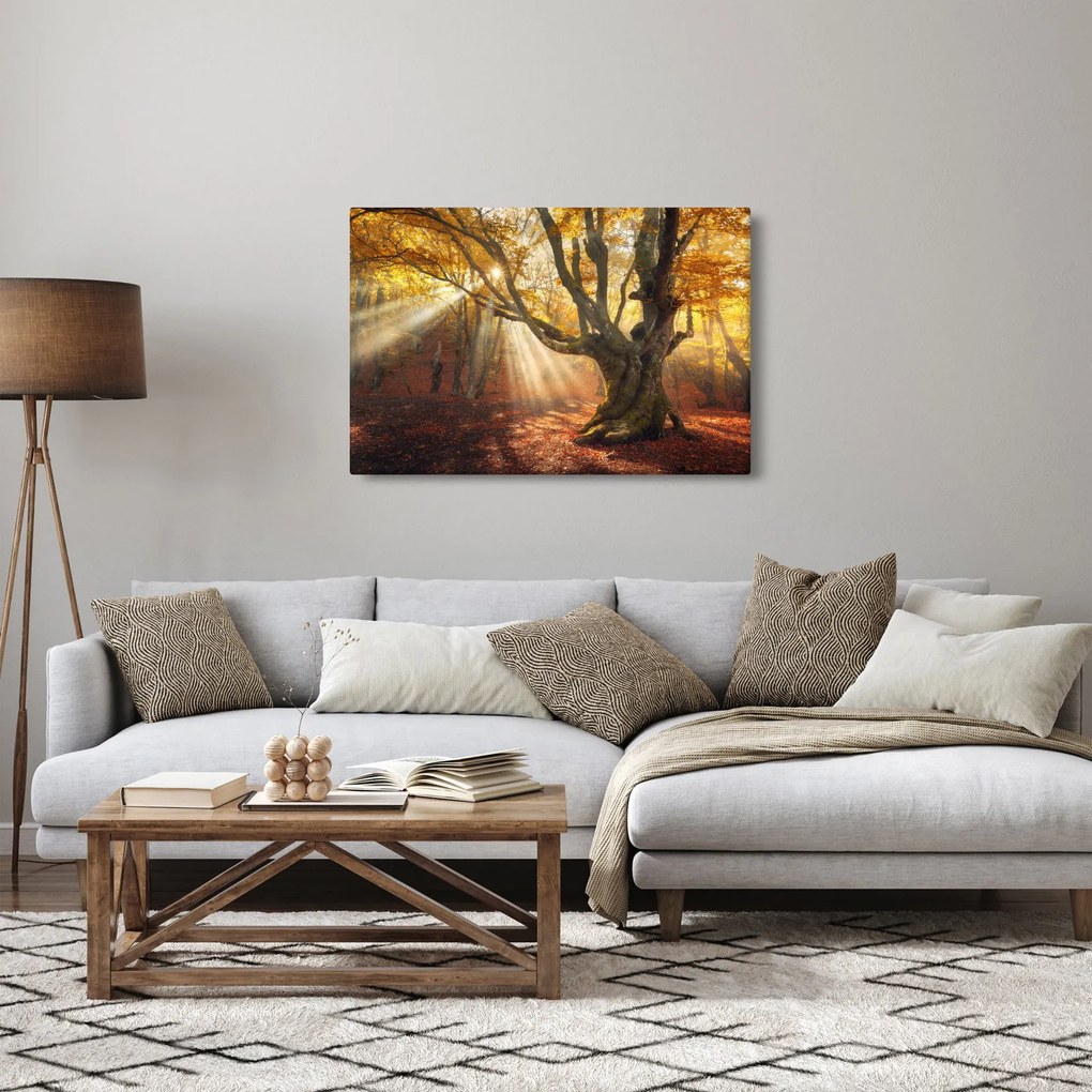 Tablou - Lumina de toamnă (90x60 cm)