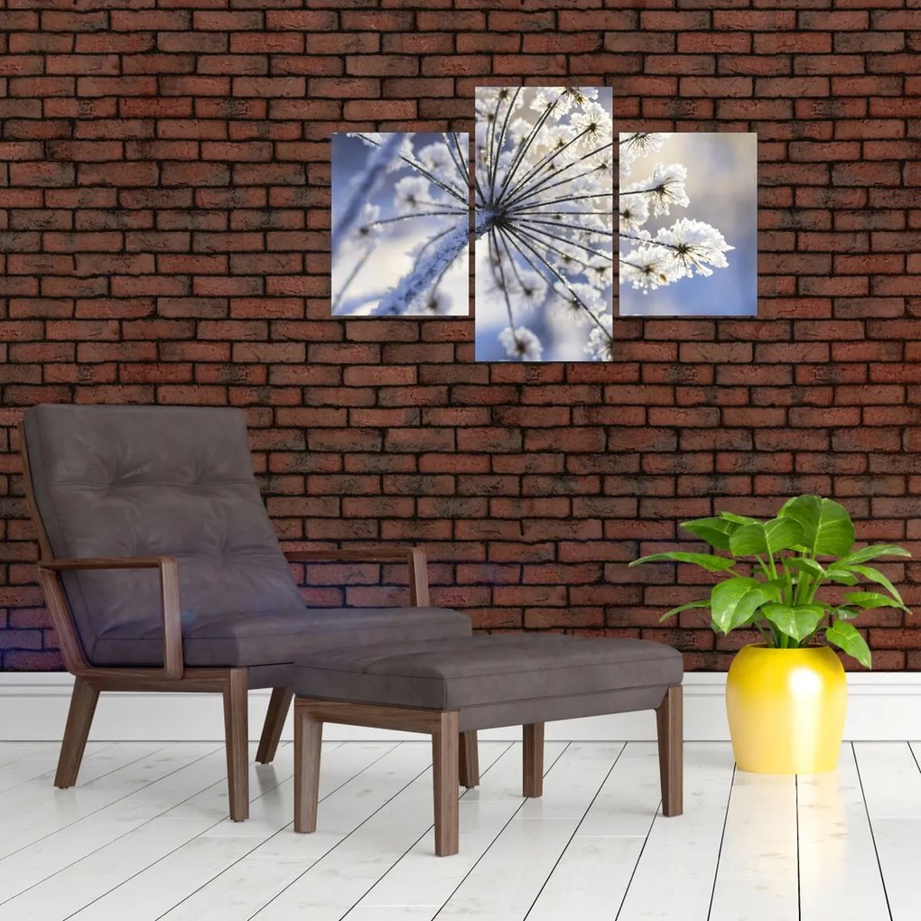 Tablou - Flori înghețate (90x60 cm)