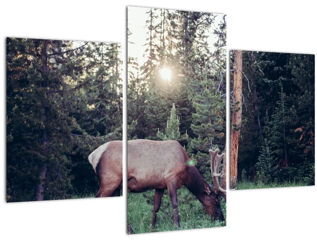 Tablou - Elan în poiană (90x60 cm)