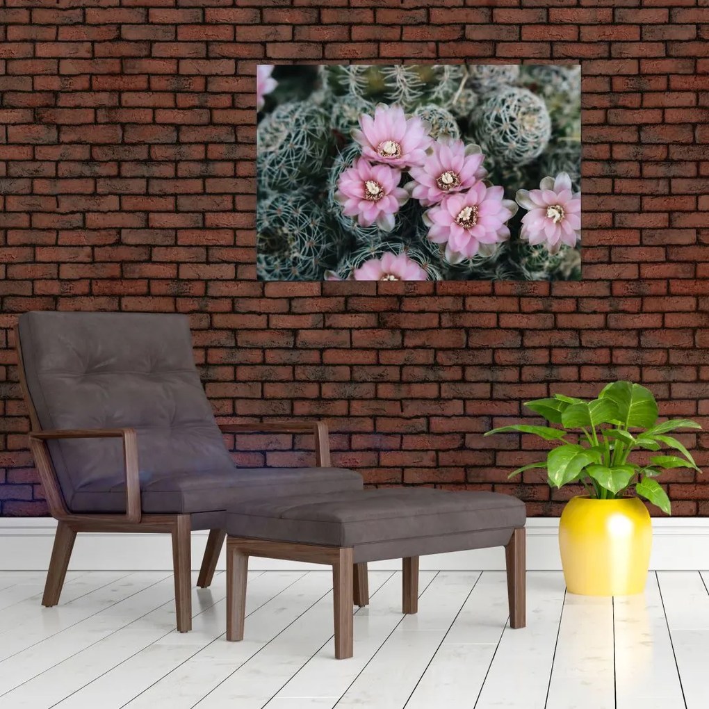 Tablou floare de cactus (90x60 cm)