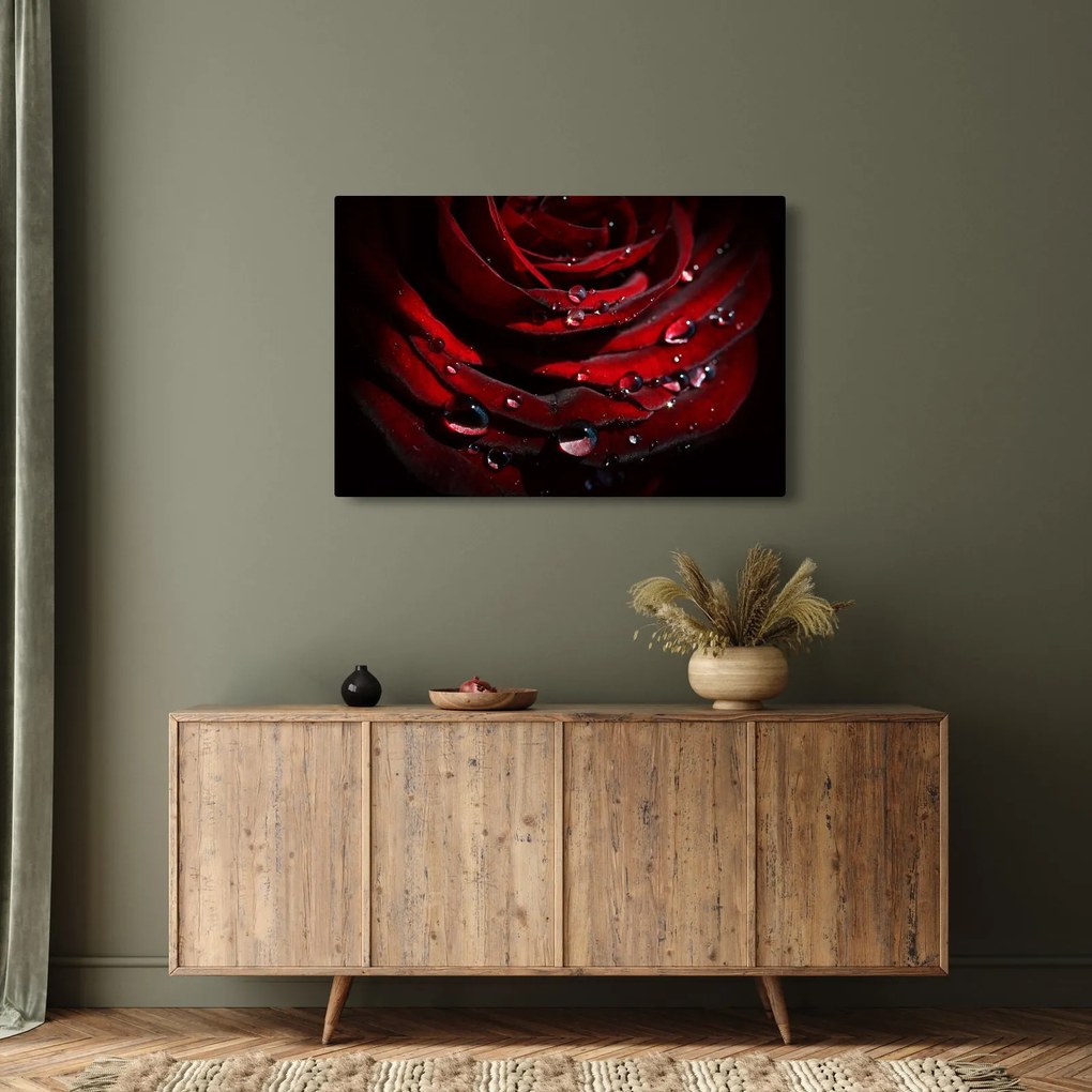 Tablou - Trandafir (90x60 cm)