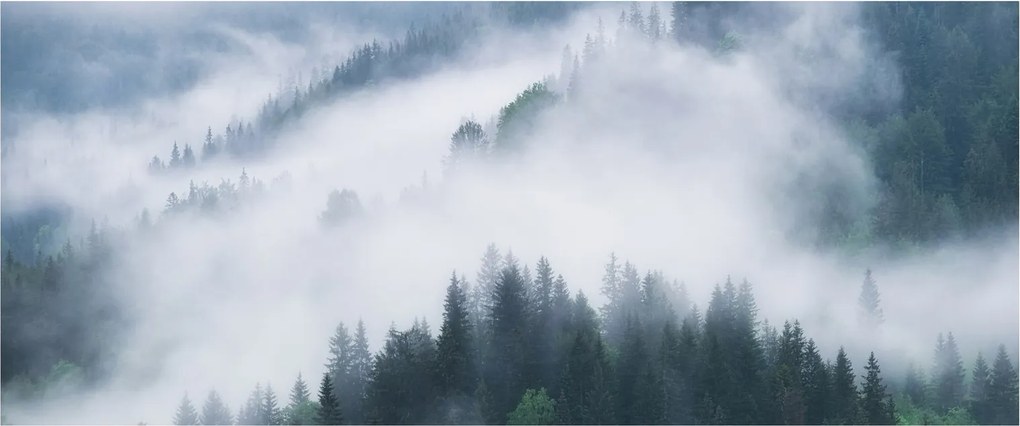 Tablou - Copacii în ceață (120x50 cm)