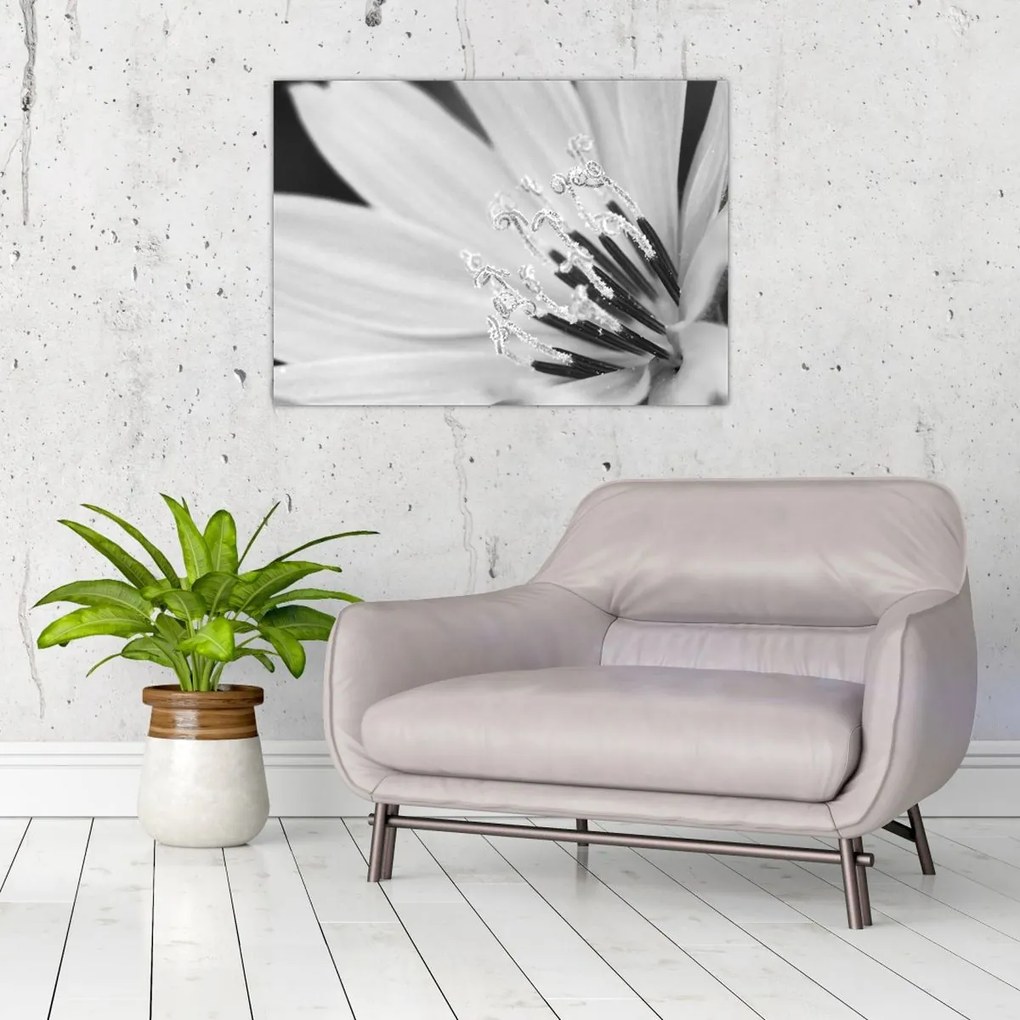 Tablou pe sticlă - Floare albă și neagră (70x50 cm)