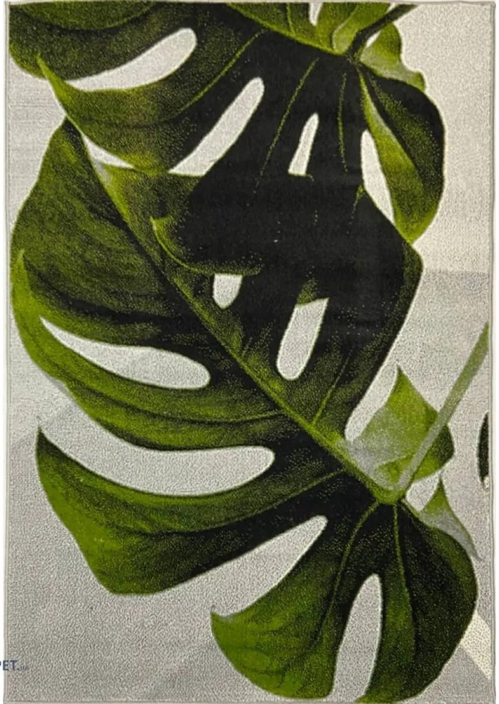 Covor Modern Kolibri 11290