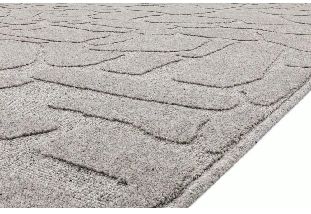 Covor gri din lână 200x300 cm Morphic Dunes – Agnella