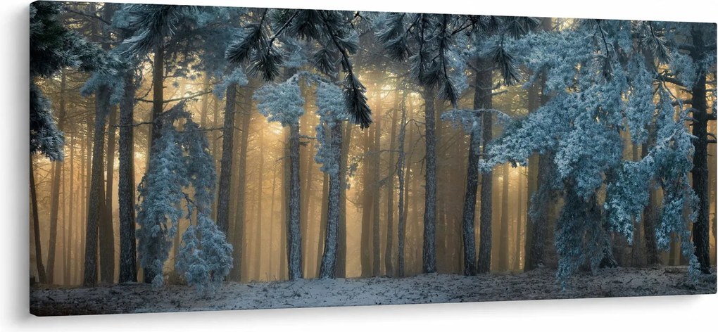 Tablou cu pădure înzăpezită (120x50 cm)