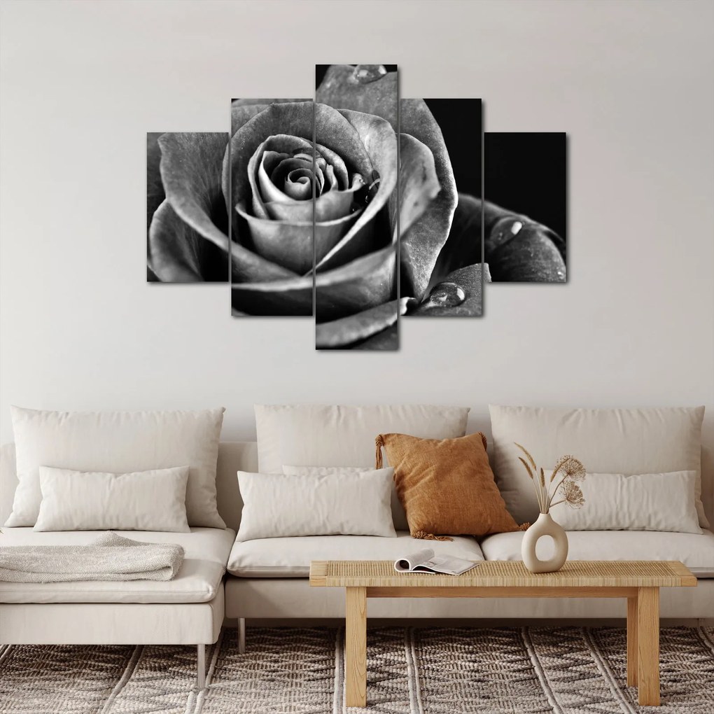 Tablou - Trandafir,alb-negru (150x105 cm)