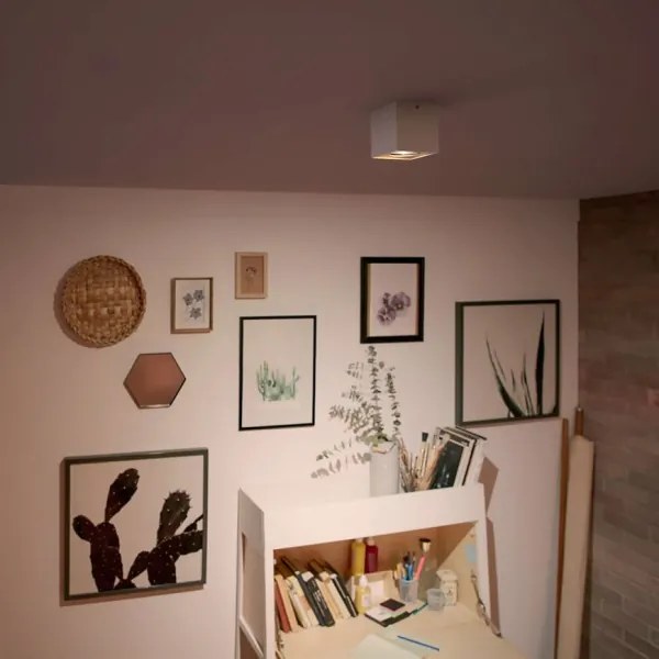 Spot LED MYLIVING BOX 1xLED/4,5W/230V Philips 50491/31/P0