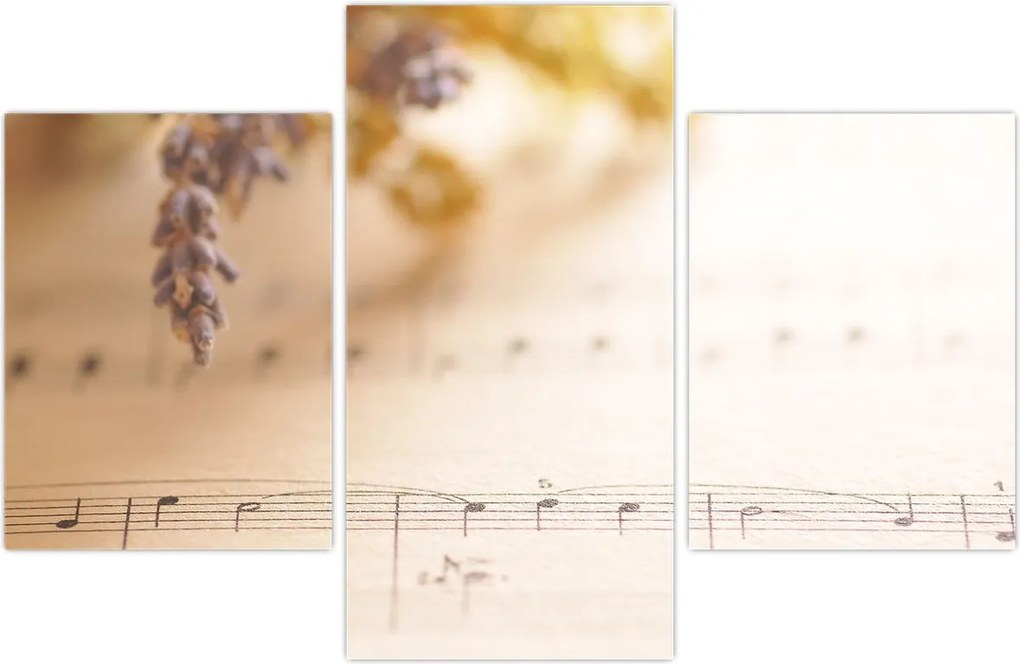 Tablou - Cântec (90x60 cm)