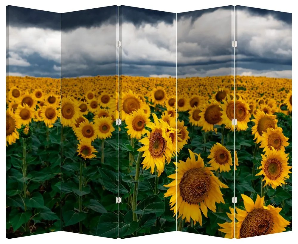 Paravan - Câmpul de floarea soarelui (210x170 cm)