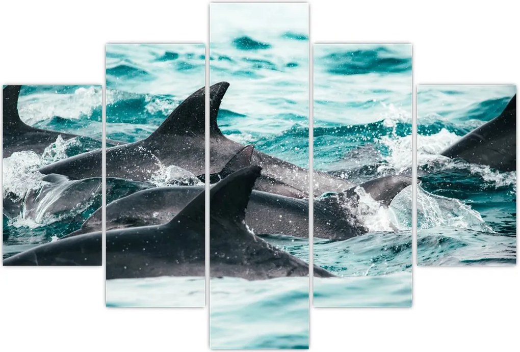 Tablou - Delfini în ocean (150x105 cm)