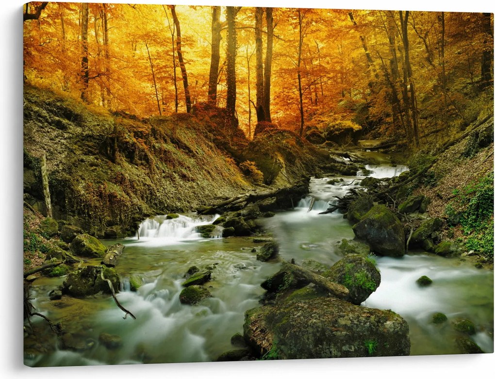 Tablou - Pădure (70x50 cm)