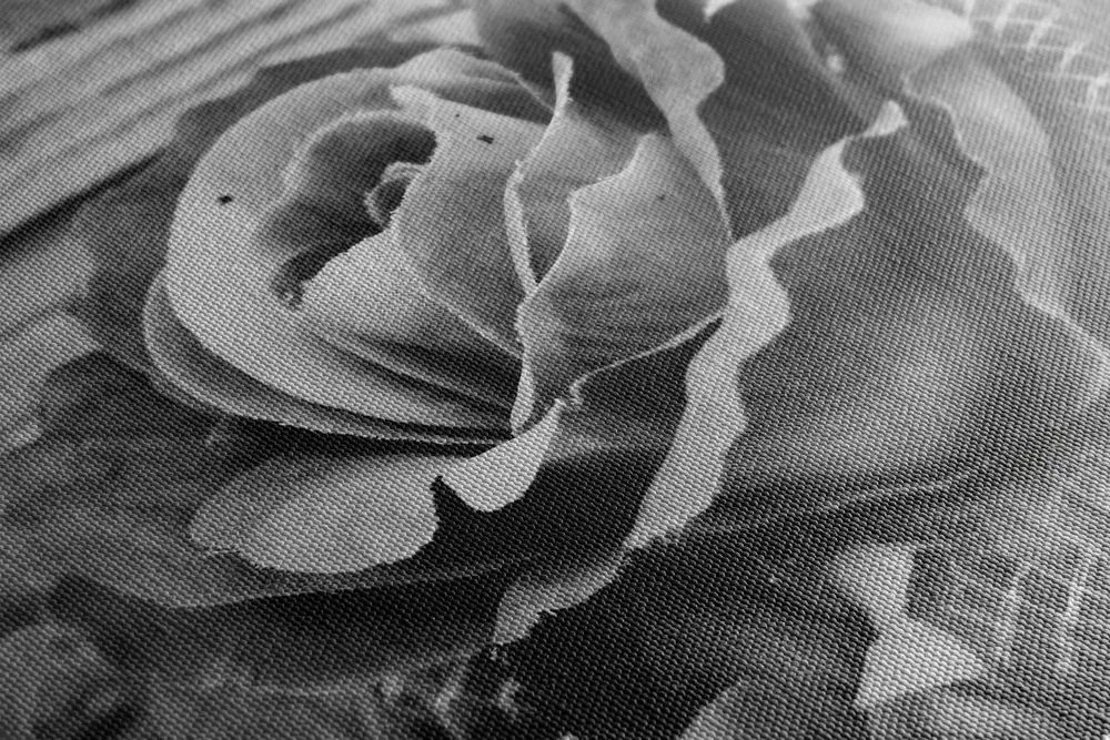 Tablou trandafir vintage elegant în design alb-negru