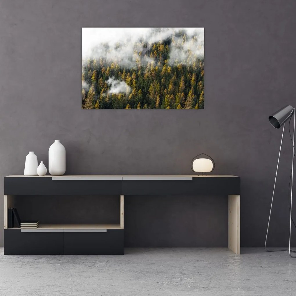 Tablou - Pădure în nori (90x60 cm)