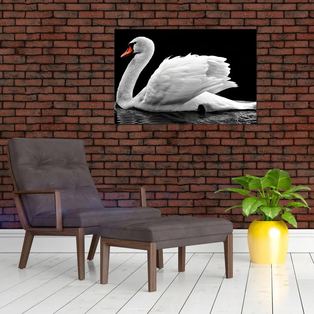 Tablou cu lebăda alb neagră (90x60 cm)
