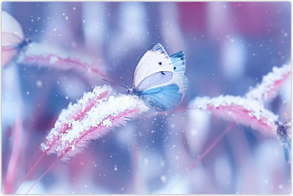 Tablou - Fluturi iarna (90x60 cm)