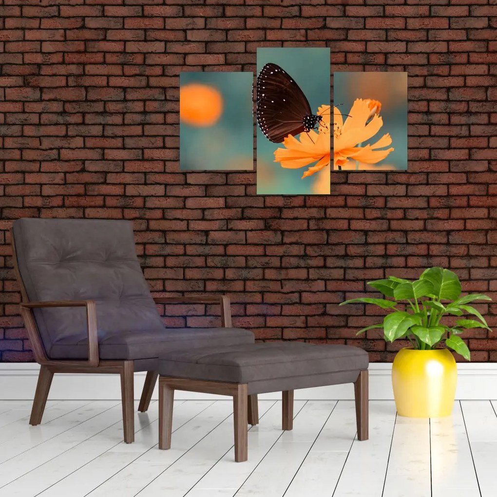 Tablou - fluture pe o floare portocalie (90x60 cm)