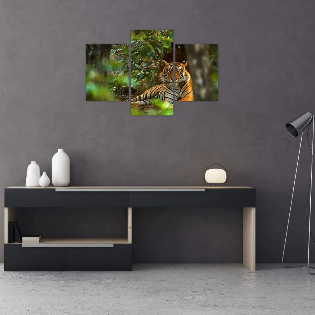 Tablou - Tigru odihnindu -se (90x60 cm)