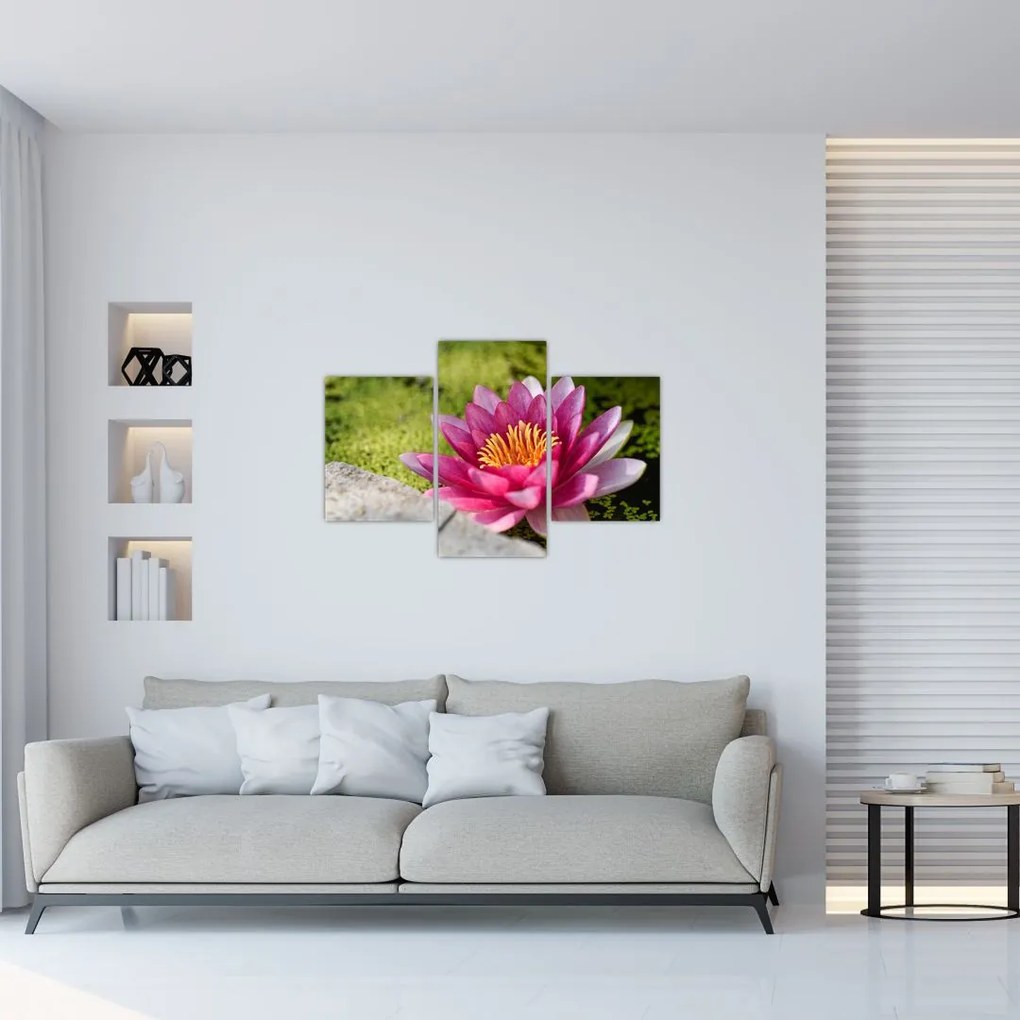 Tablou - Lotus (90x60 cm)