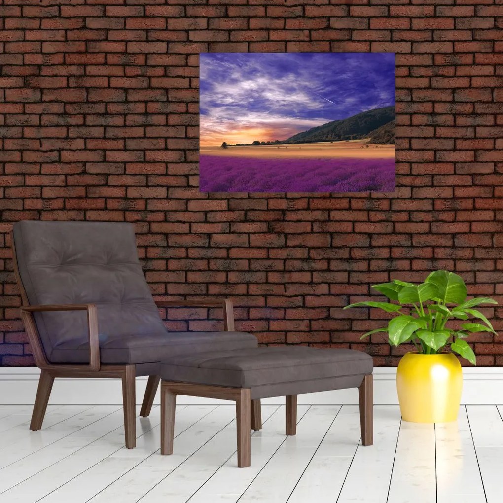 Tablou pe sticlă cu lunca cu lavandă (70x50 cm)