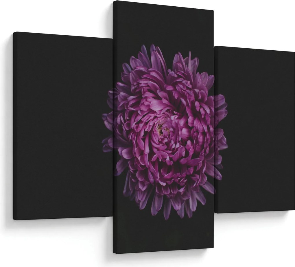 Tablou cu floare violetă (90x60 cm)
