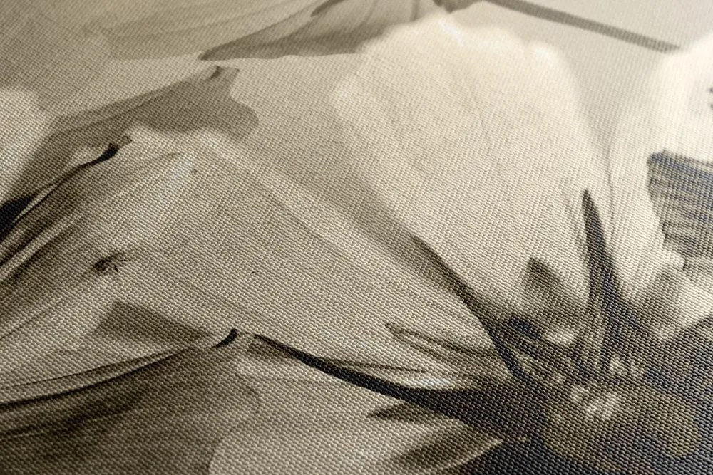 Tablou flori de grădină în design sepia