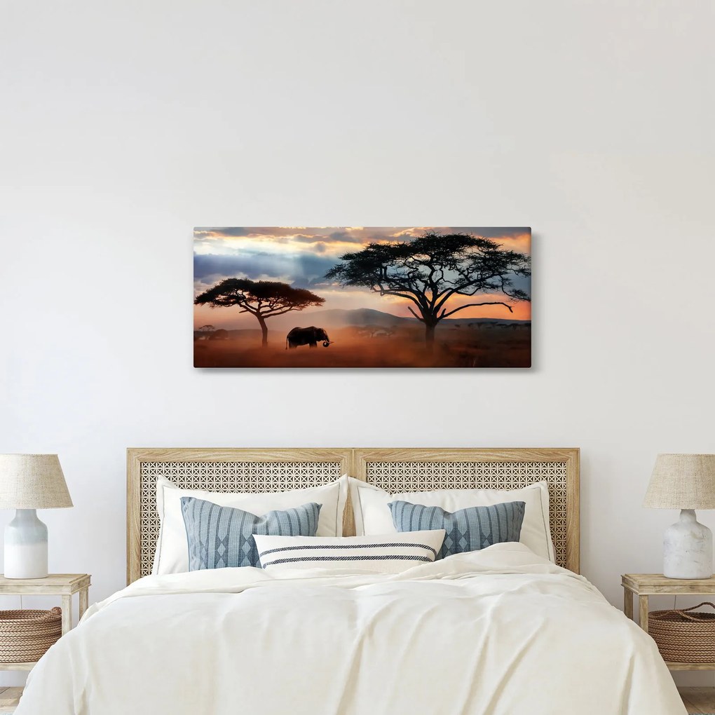 Tablou - Parcul Național Serengeti, Tanzania, Africa (120x50 cm)