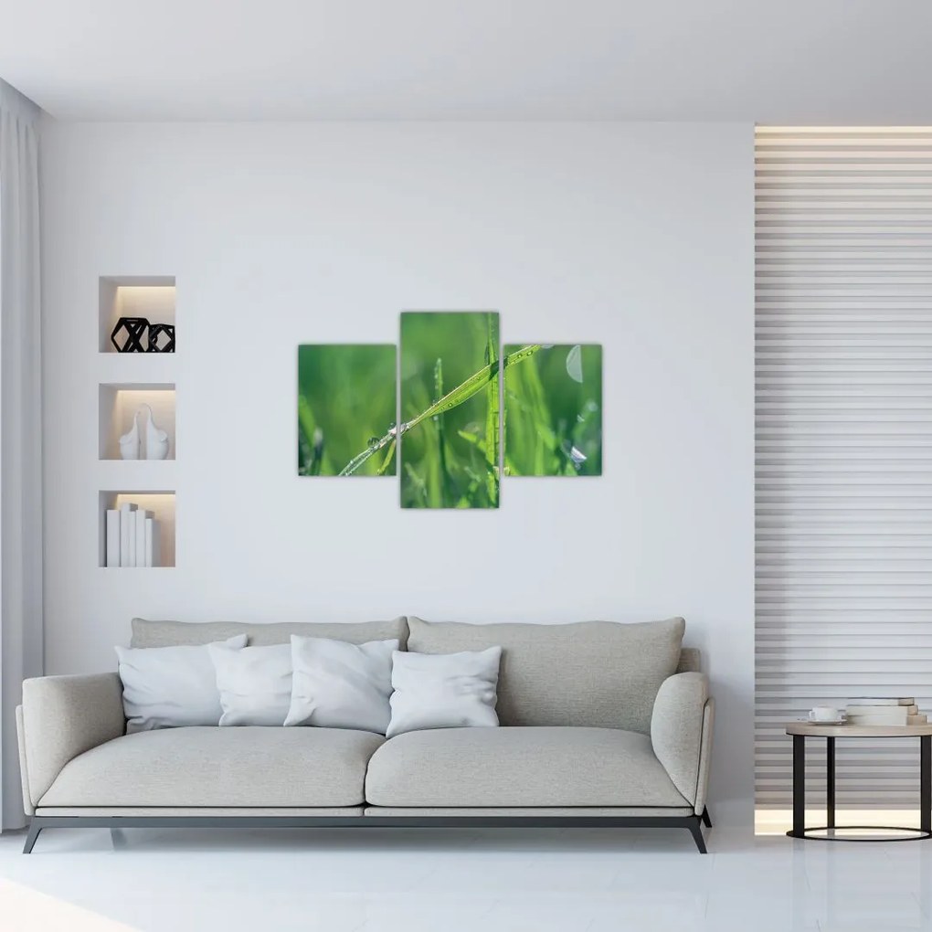Tablou cu picături de rouă (90x60 cm)