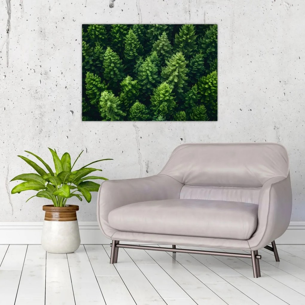 Tablou pe sticlă - Pădure (70x50 cm)