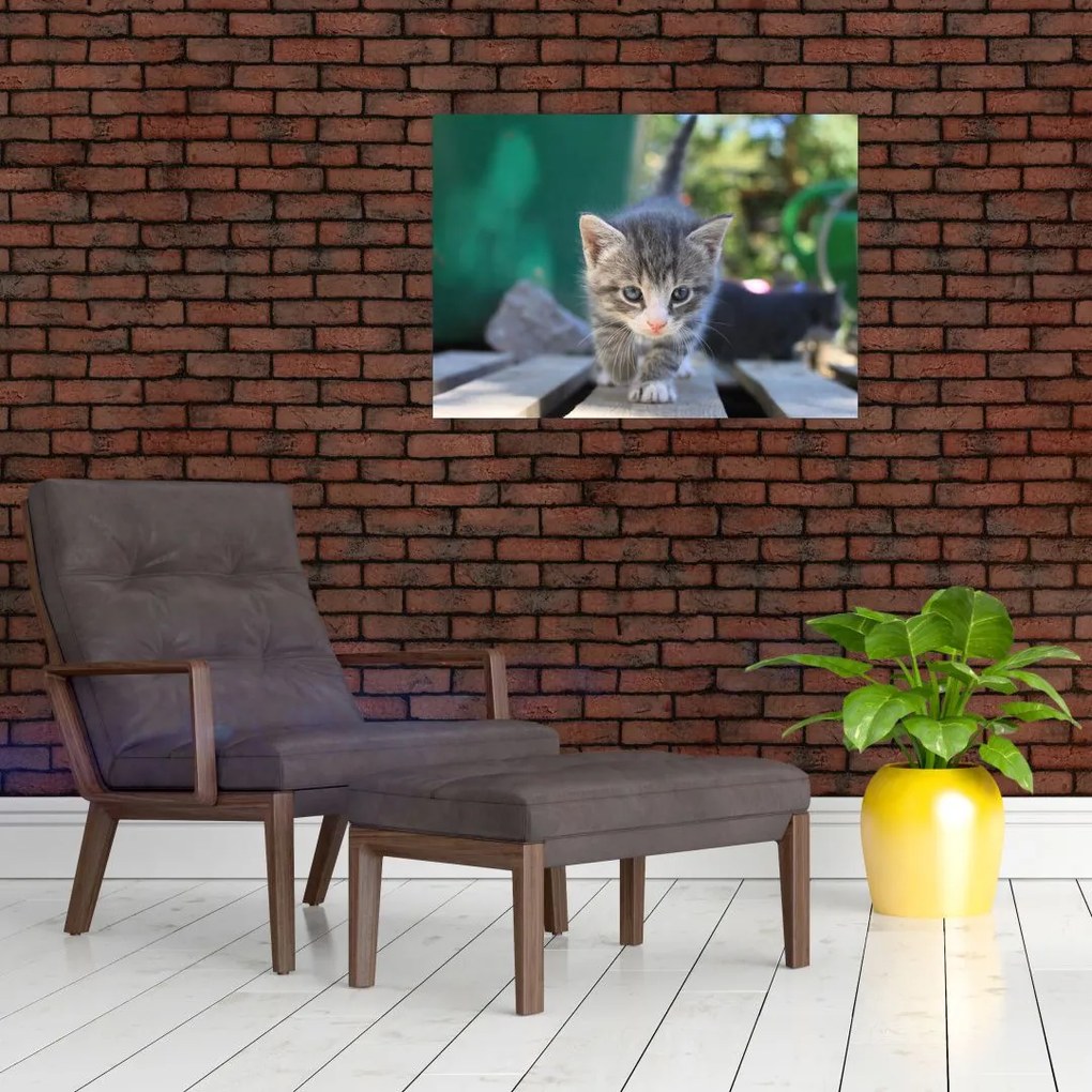 Tablou cu pisicuțe (70x50 cm)