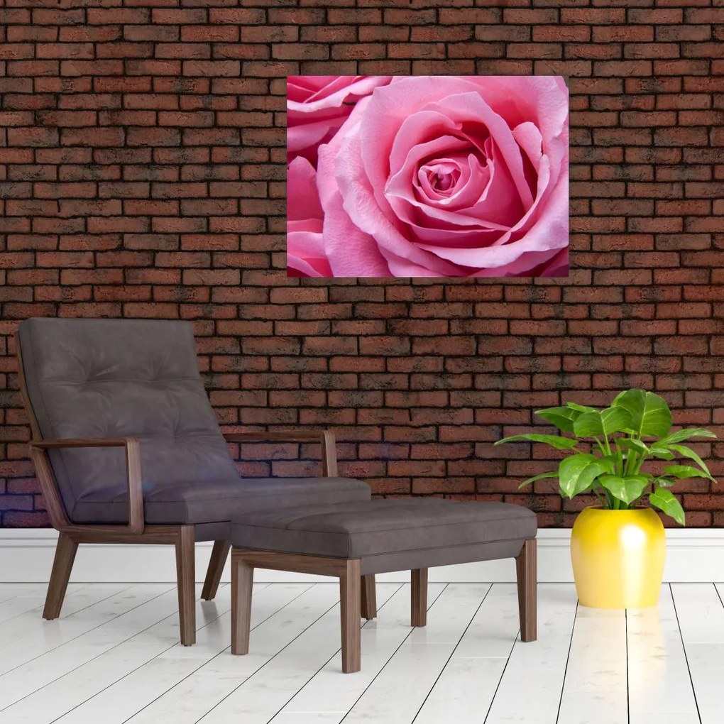 Tablou pe sticlă cu trandafir (70x50 cm)