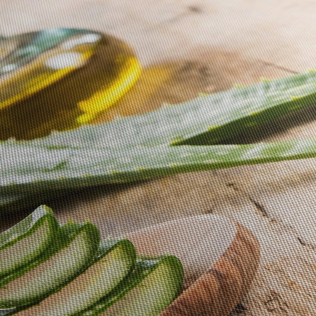 Tablou - Aloe vera (120x50 cm)